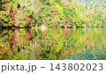 Lake Yunoko in Oku-Nikko, Nikko City, Tochigi Prefecture, is ablaze with autumn colors. 143802023