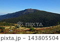 Majestic mountain peak with green pine forest under blue sky 143805504