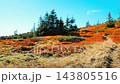 Woman hiker with backpack walking on autumn mountain slope 143805516