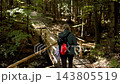 Woman hiker walking on a wooden boardwalk trail in forest 143805519
