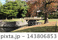 濱離宮庭園木橋一景 143806853