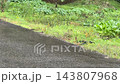下雨天大雨道路水滴大雨瀝青 143807968