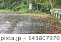 下雨天大雨道路水滴大雨瀝青 143807970