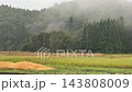 雨水落在田間的農作物上—蔬菜 143808009