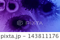 Paint spatter. Fluid spill. Blur purple blue neon color water chemical bubbles pigment drop spreading on abstract acrylic background. 143811176