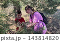 Youth and young woman harvesting berries outdoors, Child and woman foraging for berries in sunny pine forest, Young girl and woman gathering berries among pine shrubs in natural sunlight 143814820