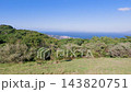 山頭草原(長崎県生月島) 山頭草原(長崎県生月島) 143820751