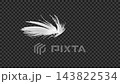 A looping transparent background image featuring the tips of swan feathers rotating and swaying. 143822534