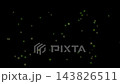 ゲンジボタルが光ながら舞うループアニメーション 143826511
