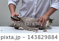 Groomer brushing a cat with a deshedding tool 143829884