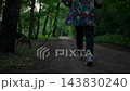 A woman walking her dog on a leash along a quiet suburban path with lush green trees and nature 143830240