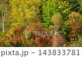 志賀高原在秋天一沼的秋葉 志賀高原在秋天一沼的秋葉 143833781