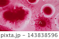 Splatter vibrant emulsion. Acrylic paint. Defocused bright red pink color paper chemical bubbles round wet texture spreading on abstract art background. 143838596