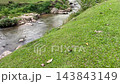 Waterfall in a stream with green natural forest 143843149