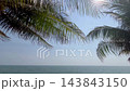 Tropical coastline beach sunny day 143843150