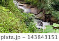 Waterfall in a stream forest 143843151