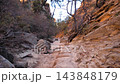 Camera moving forward along sandy wash inside a narrow sandstone canyon flanked by steep rocky walls and desert vegetation, showcasing the rugged wilderness. Zion national park utah 143848179