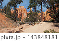 Pine trees framing towering red rock hoodoo formations along a sandy trail in bryce canyon national park, tilting up toward the blue sky during a sunny day 143848181