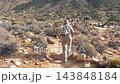 Female hiker carrying backpack and using trekking poles while walking up along dusty stone trail in arid desert landscape on sunny day, pursuing fitness adventure 143848184