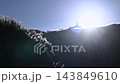 Silver grass swaying along hiking trail on Mount Qixing in Taipei 143849610