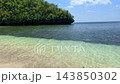 Hidden tropical cove with clear turquoise sea water lush green rocky cliff island and blue sky in paradise bay 143850302