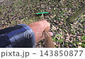 Man raking dead leaves in the garden using garden rake 143850877