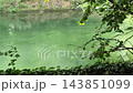 Calm green river or pond framed by lush foliage and trees 143851099