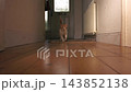 Ginger red and white pet cat runs through house hallway 143852138
