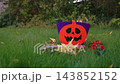 Halloween trick or treat bag in Autumn garden 143852152