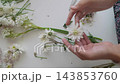 Hands removing leaves from a white flower stem 143853760