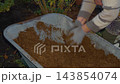Gloved hands mixing compost in wheelbarrow outdoors at night in garden setting amid plants and damp soil around working 143854074