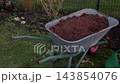 Wheelbarrow filled with fresh mulch in garden beside flower bed and grassy lawn 143854076