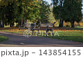 Empty park benches beside paved path under autumn trees with fallen leaves and soft sunlight 143854155