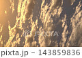 【垂直螢幕影片】卷積雲流動與金色夕陽天空的縮時攝影:秋日天空 【垂直螢幕影片】卷積雲流動與金色夕陽天空的縮時攝影:秋日天空 143859836