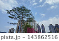 May 31 2026 GO PARK Sai Sha Recreation and Sports Destination 143862516