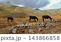 Picturesque landscape with donkeys grazing on high alpine pastures in Picos de Europa, Spain 143866858