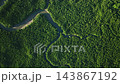 Amazing abundant mangrove forest river,Aerial view of forest trees Rainforest ecosystem and healthy environment background, Texture of green trees forest top down High angle view 143867192