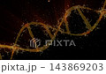 The DNA chain rotates in a helix.This video make a perfect concept for human DNA, microbiology, RNA protein, pharmaceutical health, genetics, stem cell research, healthcare, or the human genome. 143869203