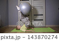 Young caucasian girl performing core muscle strengthening exercise with large gray fitness ball on green yoga mat at home, demonstrating flexibility and balance during workout session 143870274