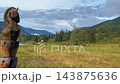 Horses grazing alpine meadow, forested mountains, wide landscape shot 143875636