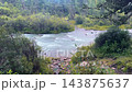 Mountain river flowing through dense forest, natural light filtered through canopy 143875637