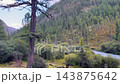 Aerial view of winding river flowing through dense coniferous forest, mountain wilderness landscape 143875642