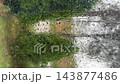 Vertical video. Raindrops stream down a window, blurring green shrubs and a building outside. Rainy weather, wet glass texture and tranquil indoor atmosphere 143877486