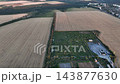 Orchard rows between harvested fields near a town in a drone aerial view. Agriculture, food production, orchard management and peri-urban land use 143877630