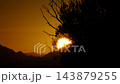 Golden Sun Setting Behind a Silhouette of Trees. 143879255