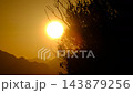 Golden Sun Setting Behind a Silhouette of Trees. 143879256