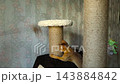 Abyssinian kitten plays with feather teaser toy on cat scratching post 143884842