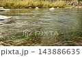 早川河水面的影像，捕捉了河岸邊的草地和緩緩流淌的水流（20 秒，自然影像）。 143886635