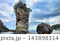 三王岩と太平洋の絶景　岩手県宮古市 143898314
