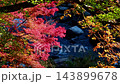 Autumn leaves of Korankei gorge and the murmuring of the river 143899678